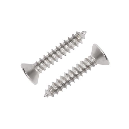 สกรูเกลียวปล่อย TF DEXZON 6X3/4 นิ้ว 30 ตัว