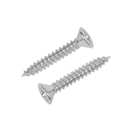 สกรูเกลียวปล่อย TF DEXZON 4X3/4 นิ้ว 25 ตัว_0