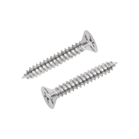 สกรูเกลียวปล่อย TF DEXZON 10X1-1/4 นิ้ว 25 ตัว