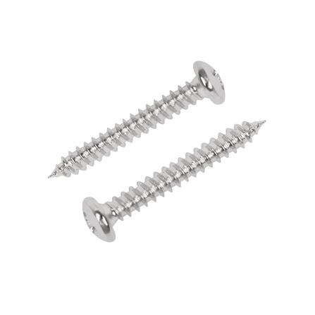 สกรูเกลียวปล่อย TP DEXZON 6X1 นิ้ว 30 ตัว