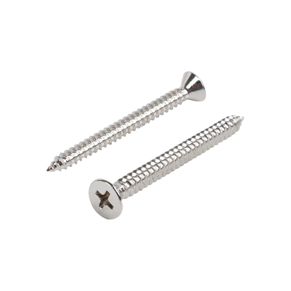 สกรูเกลียวปล่อย TF DEXZON 10X2 นิ้ว แพ็ก 10 ชิ้น