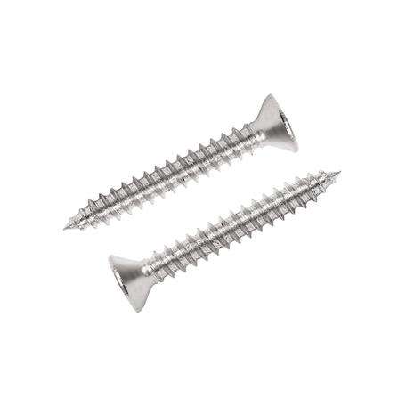 สกรูเกลียวปล่อย TF DEXZON 6X1 นิ้ว 30 ตัว