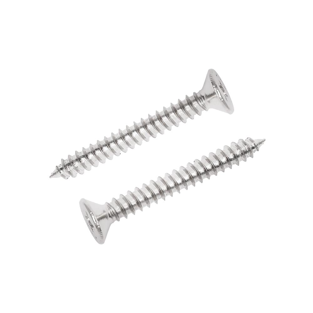 สกรูเกลียวปล่อย TF DEXZON 10X1-1/2 นิ้ว 15 ตัว