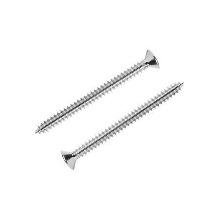 สกรูเกลียวปล่อย TF DEXZON 8X2 นิ้ว 15 ตัว