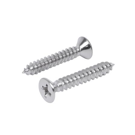 สกรูเกลียวปล่อย TF DEXZON 8X1 นิ้ว 30 ตัว