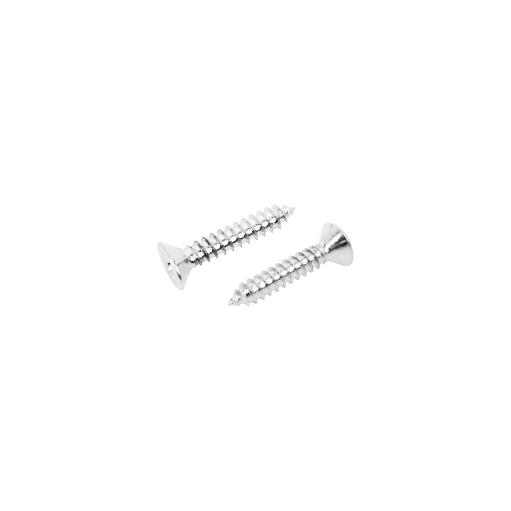 สกรูเกลียวปล่อย TF DEXZON 10X1 นิ้ว แพ็ก 30 ชิ้น