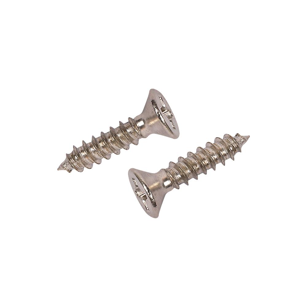 สกรูเกลียวปล่อย TF DEXZON 6X5/8 นิ้ว 30 ตัว