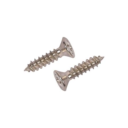 สกรูเกลียวปล่อย TF DEXZON 6X5/8 นิ้ว 30 ตัว_0