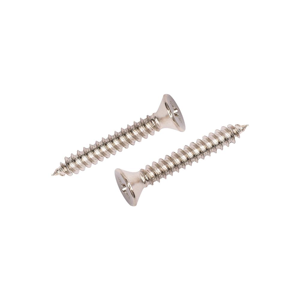 สกรูเกลียวปล่อย TF DEXZON 10X1-1/4 นิ้ว 15 ตัว