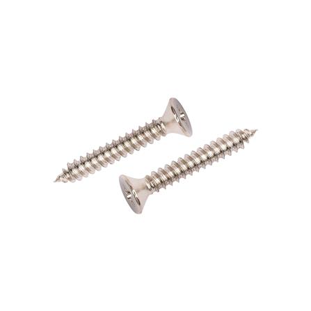 สกรูเกลียวปล่อย TF DEXZON 10X1-1/4 นิ้ว 15 ตัว_0