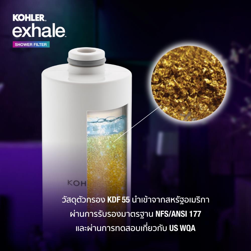 ตัวกรองอาบน้ำ KOHLER K-33001X-CP
