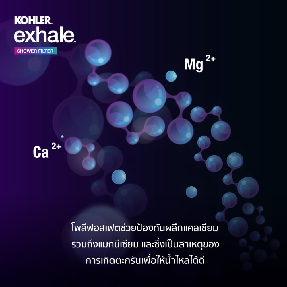 ตัวกรองอาบน้ำ KOHLER K-33001X-CP
