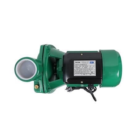 ปั๊มหอยโข่ง DEXZON HP-2000B 2 แรงม้า_3