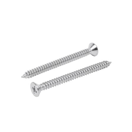 สกรูเกลียวปล่อย TF DEXZON 8X2 นิ้ว 25 ตัว