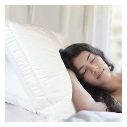 หมอนหนุน ขนห่านเทียม ESSE DOWN ALTERNATIVE MEDIUM PL-DM 19x29 นิ้ว สีขาว_3