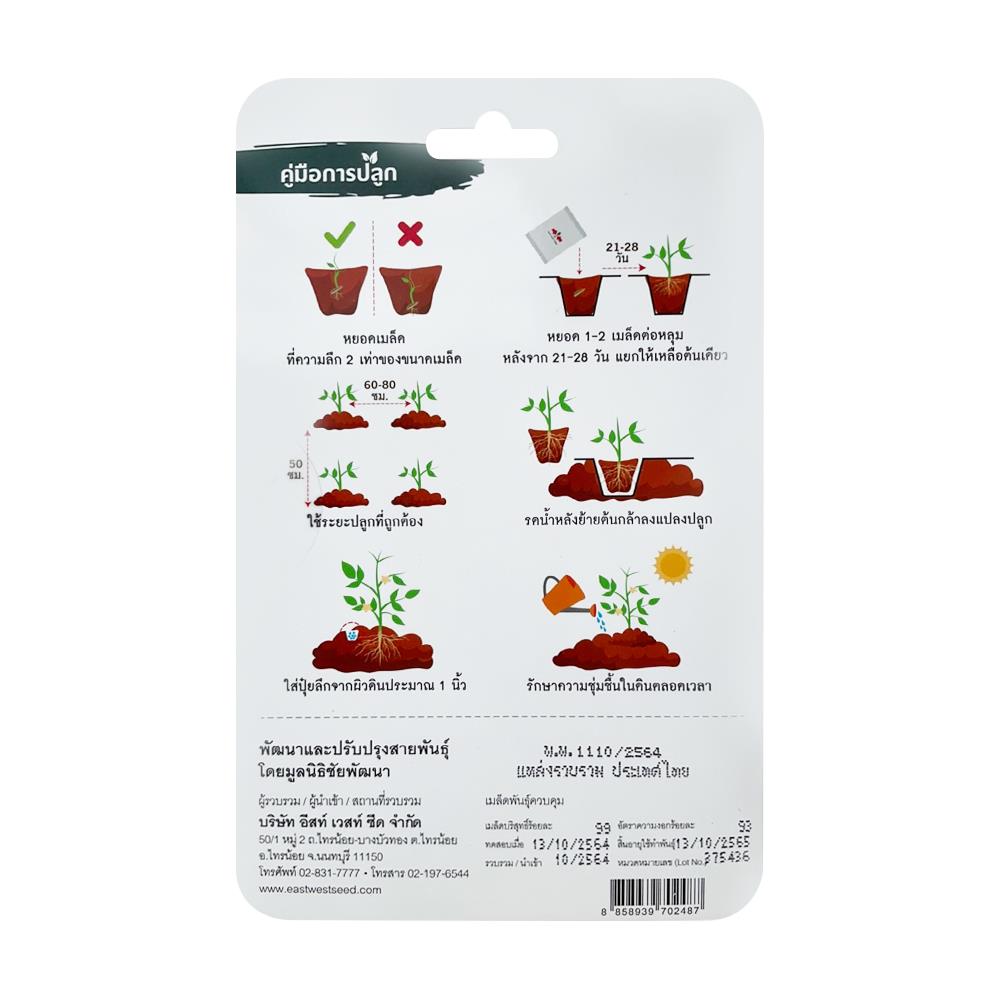 เมล็ดพันธุ์ พริกขี้หนูช่อ ปู่เมธ เบอร์ 1 ศรแดง