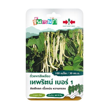 เมล็ดพันธุ์ ถั่วแขกสีเหลือง เทพรัตน์ เบอร์ 1 ศรแดง 100 เมล็ด