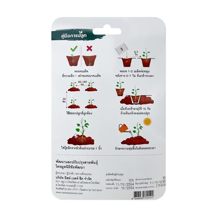 เมล็ดพันธุ์ ถั่วแขกสีเหลือง เทพรัตน์ เบอร์ 1 ศรแดง 100 เมล็ด_1