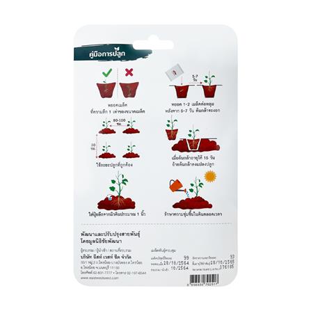 เมล็ดพันธุ์ ถั่วแขกสีม่วง สิรินธร เบอร์ 1 ศรแดง 100 เมล็ด_1