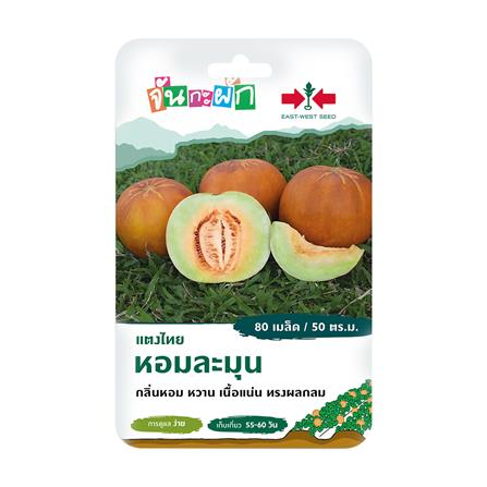 เมล็ดพันธุ์ แตงไทย หอมละมุน ศรแดง 80 เมล็ด