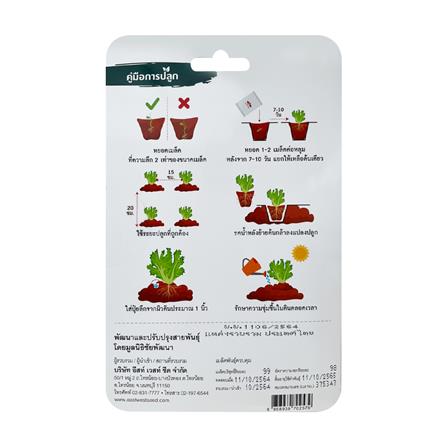 เมล็ดพันธุ์ ผักกาดหอม สลัดสวยงาม ศรแดง_1