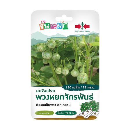 เมล็ดพันธุ์ มะเขือเปราะ พวงหยกจักรพันธ์ ศรแดง 150 เมล็ด