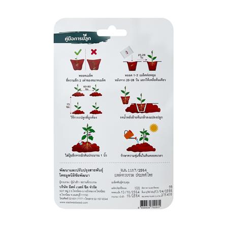 เมล็ดพันธุ์ มะเขือเปราะ พวงหยกจักรพันธ์ ศรแดง 150 เมล็ด_1