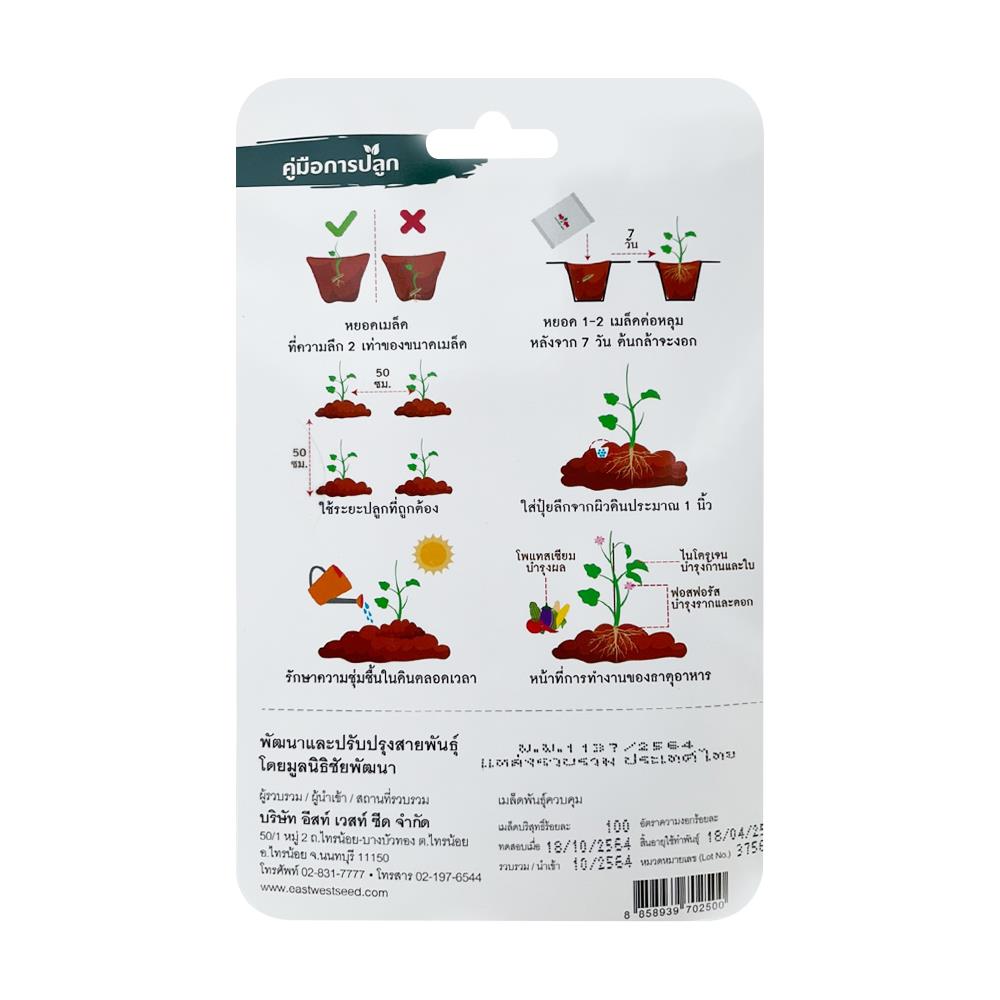 เมล็ดพันธุ์ ถั่วฝักยาวสีม่วง สิรินธร เบอร์ 1 ศรแดง 100 เมล็ด