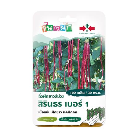 เมล็ดพันธุ์ ถั่วฝักยาวสีม่วง สิรินธร เบอร์ 1 ศรแดง 100 เมล็ด