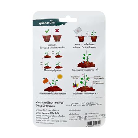 เมล็ดพันธุ์ ถั่วฝักยาวสีม่วง สิรินธร เบอร์ 1 ศรแดง 100 เมล็ด_1