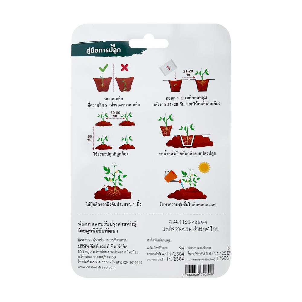 เมล็ดพันธุ์ พริกขี้หนู พัฒนฉันท์ ศรแดง 150 เมล็ด