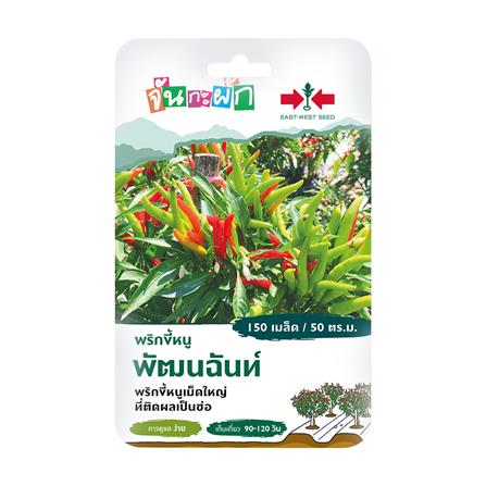 เมล็ดพันธุ์ พริกขี้หนู พัฒนฉันท์ ศรแดง 150 เมล็ด