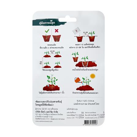 เมล็ดพันธุ์ พริกขี้หนู พัฒนฉันท์ ศรแดง 150 เมล็ด_1