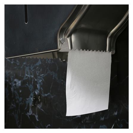 กล่องใส่กระดาษชำระ WSP TPS-201 สเตนเลส_3