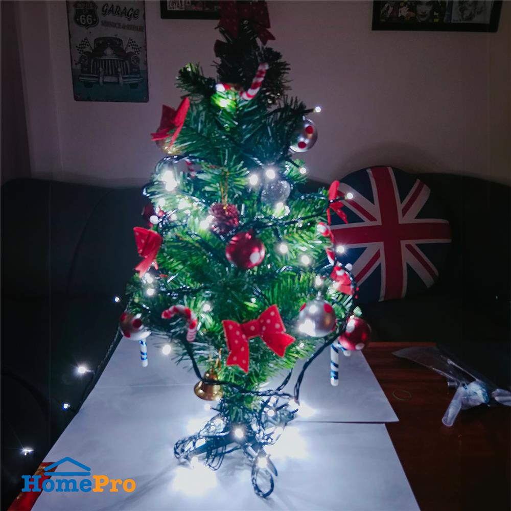 ไฟกะพริบ LED CARINI สายเขียว 10 เมตร DAYLIGHT