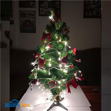 ไฟกะพริบ LED CARINI สายขาวใส 10 เมตร DAYLIGHT_0