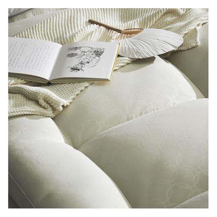 แผ่นรองนอน 3 ฟุต LOTUS AYAME CREAM_2