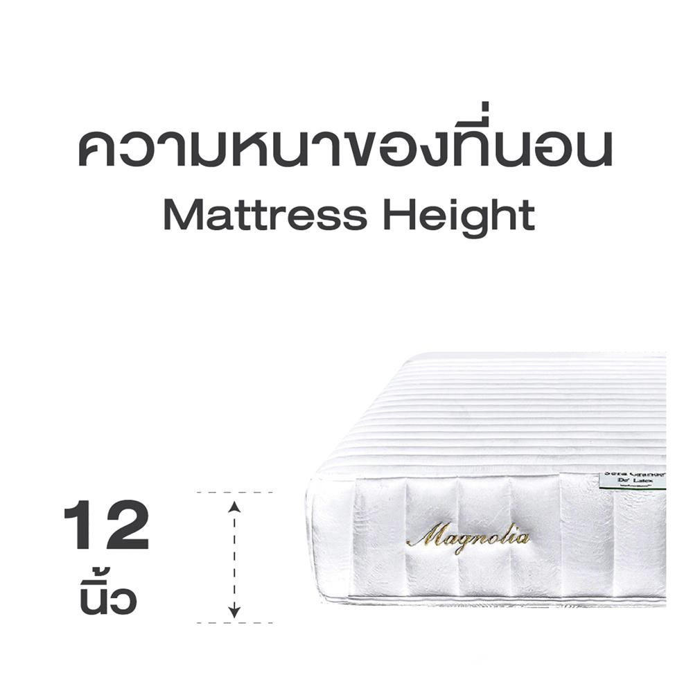 ที่นอน 5 ฟุต SERA GRANDE MAGNOLIA