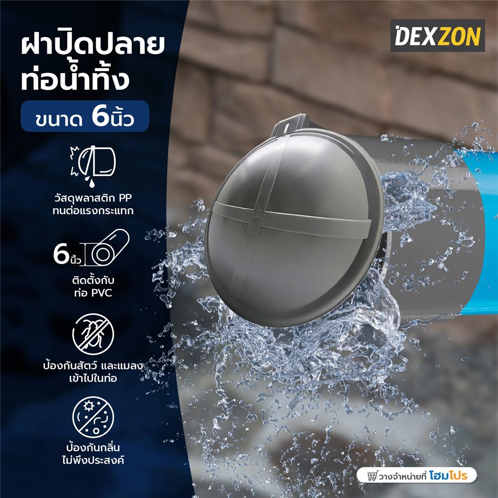 ฝาปิดปลายท่อน้ำทิ้ง DEXZON 6 นิ้ว