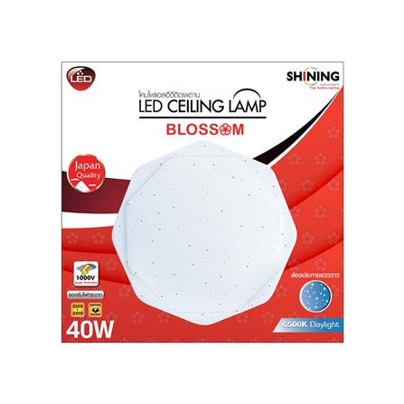 ไฟเพดาน LED SHINING BLOSSOM 20 นิ้ว 40 วัตต์ DAYLIGHT สีขาว_3