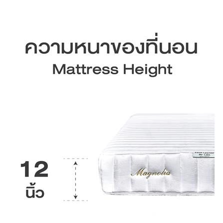 ที่นอน 6 ฟุต SERA GRANDE MAGNOLIA_8