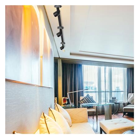 แทรคไลท์ ติดราง GU5.3 SHINING SF-CIRCLE สีดำ_7