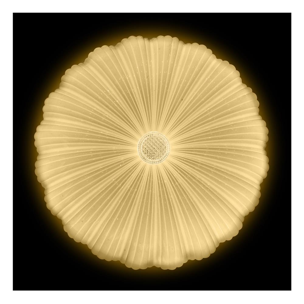 ไฟเพดาน LED CARINI ZY183-1 19 นิ้ว 55 วัตต์ DAYLIGHT/COOL WHITE/WARM WHITE สีขาว