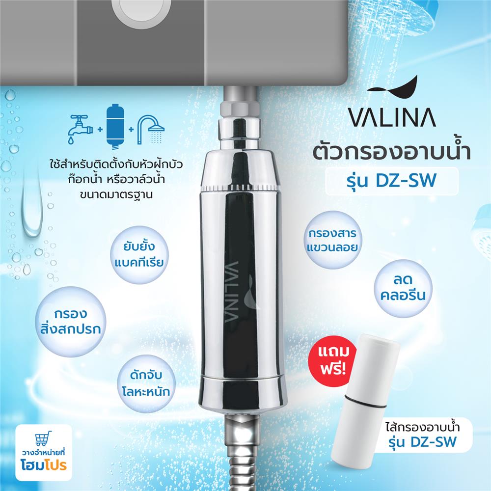 ตัวกรองอาบน้ำ VALINA DZ-SW