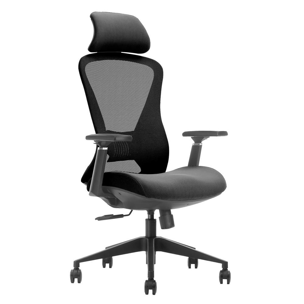 D.I.Y. เก้าอี้สุขภาพ BEWELL G099191 FOSTER สีดำ