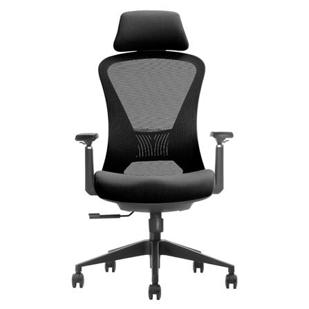 D.I.Y. เก้าอี้สุขภาพ BEWELL G099191 FOSTER สีดำ_0