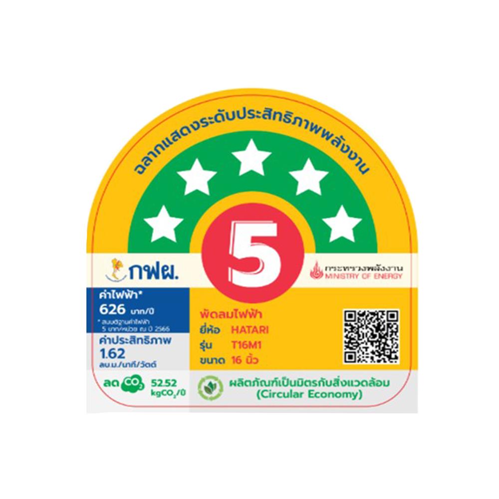 พัดลมตั้งโต๊ะ 16 นิ้ว HATARI T16M1 สีฟ้า