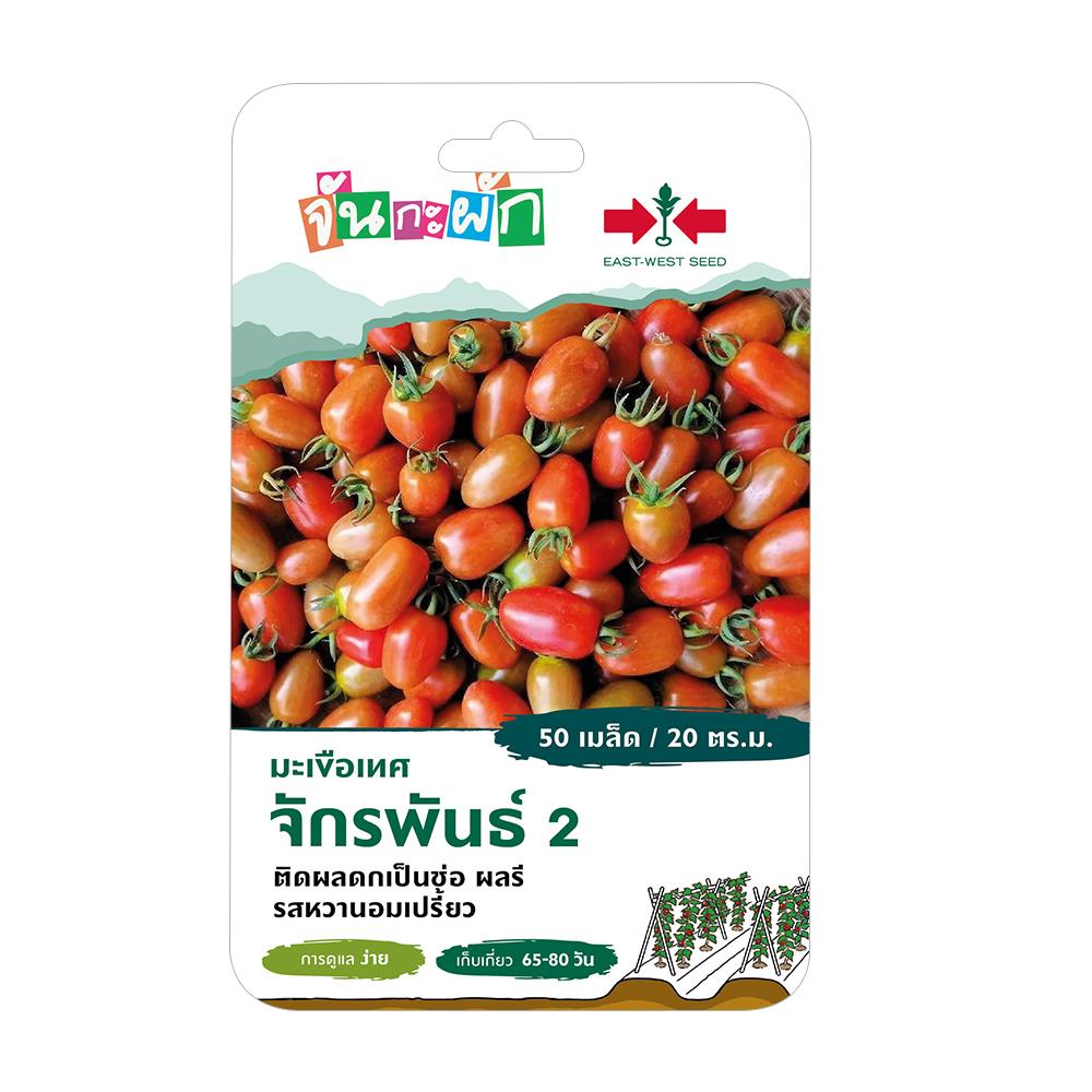 เมล็ดพันธุ์ มะเขือเทศผลรี จักรพันธ์ 2 ศรแดง 50 เมล็ด