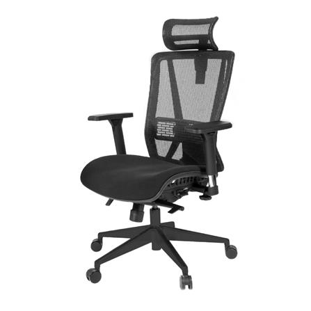 เก้าอี้สุขภาพ BEWELL G099191 ENFOLD สีดำ_0