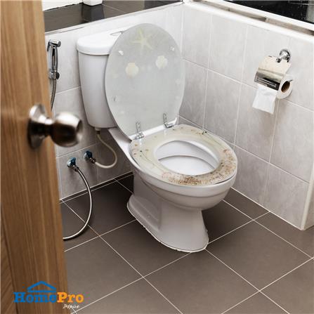 ฝารองนั่ง POLYRESIN MOYA 22EVP01 ลายเปลือกหอย_6